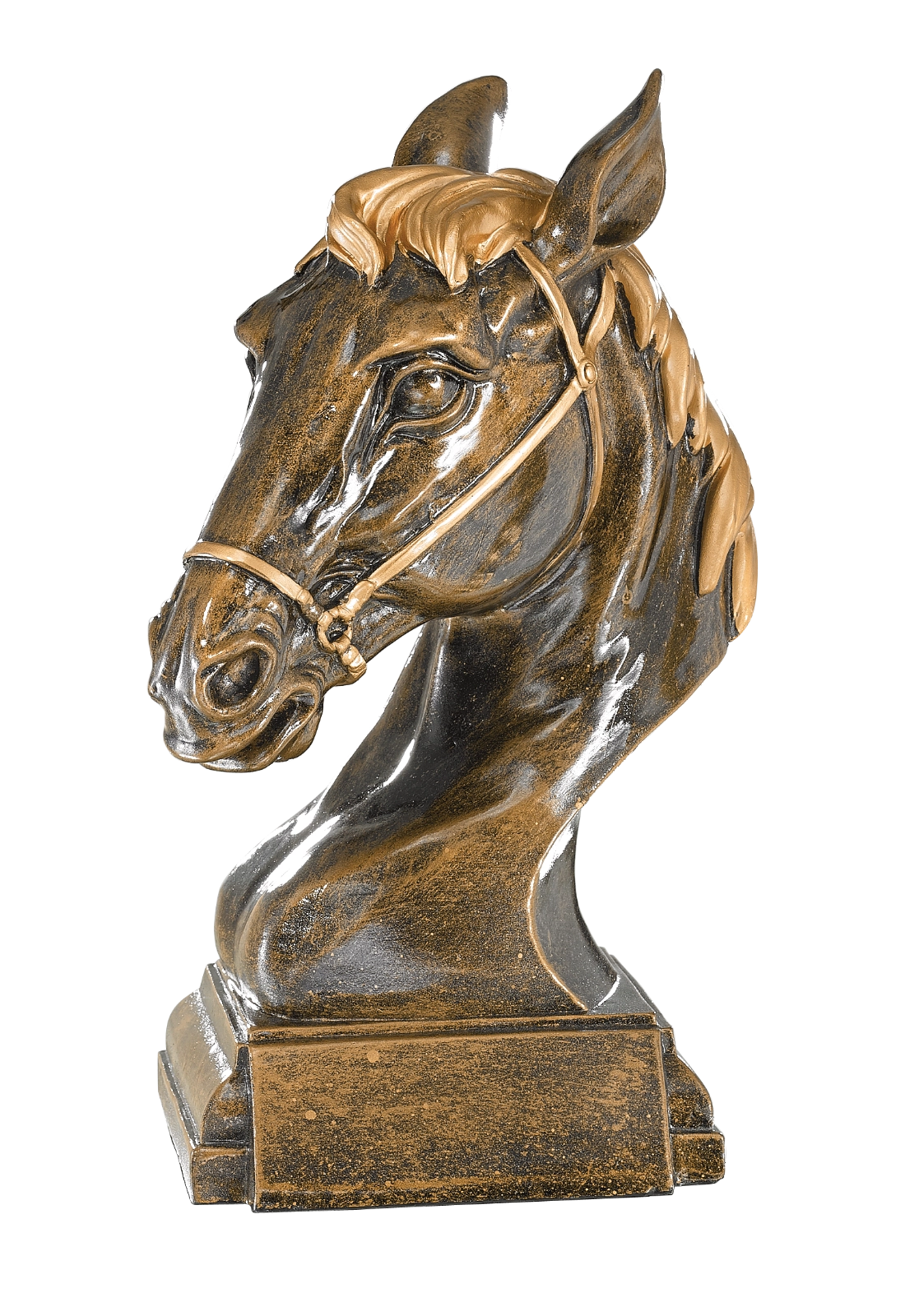 Trophée Équitation 20309