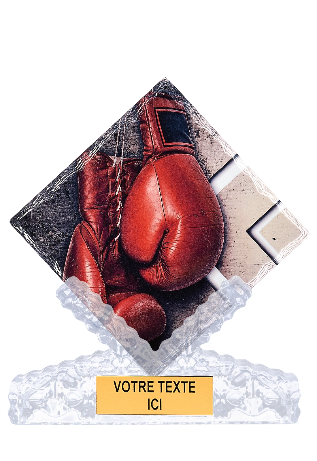 Trophée Boxe 46103